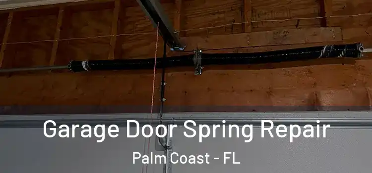  Garage Door Spring Repair Palm Coast - FL