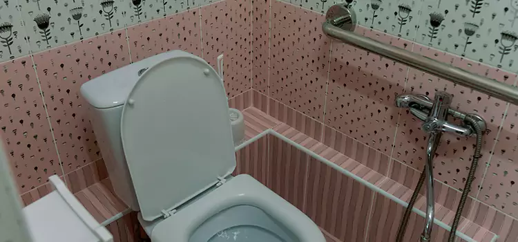 Meeting Diverse Needs With Accessible Restroom Solutions in Palm Coast, FL