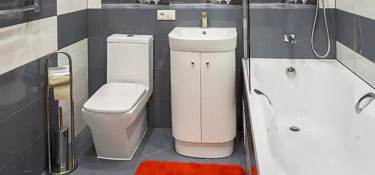 Hansgrohe Shaving Mirror Palm Coast