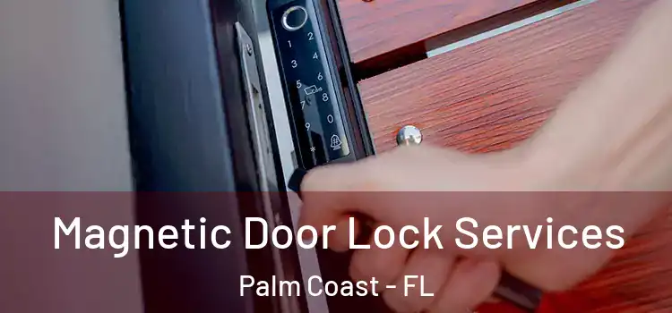 Magnetic Door Lock Services Palm Coast - FL